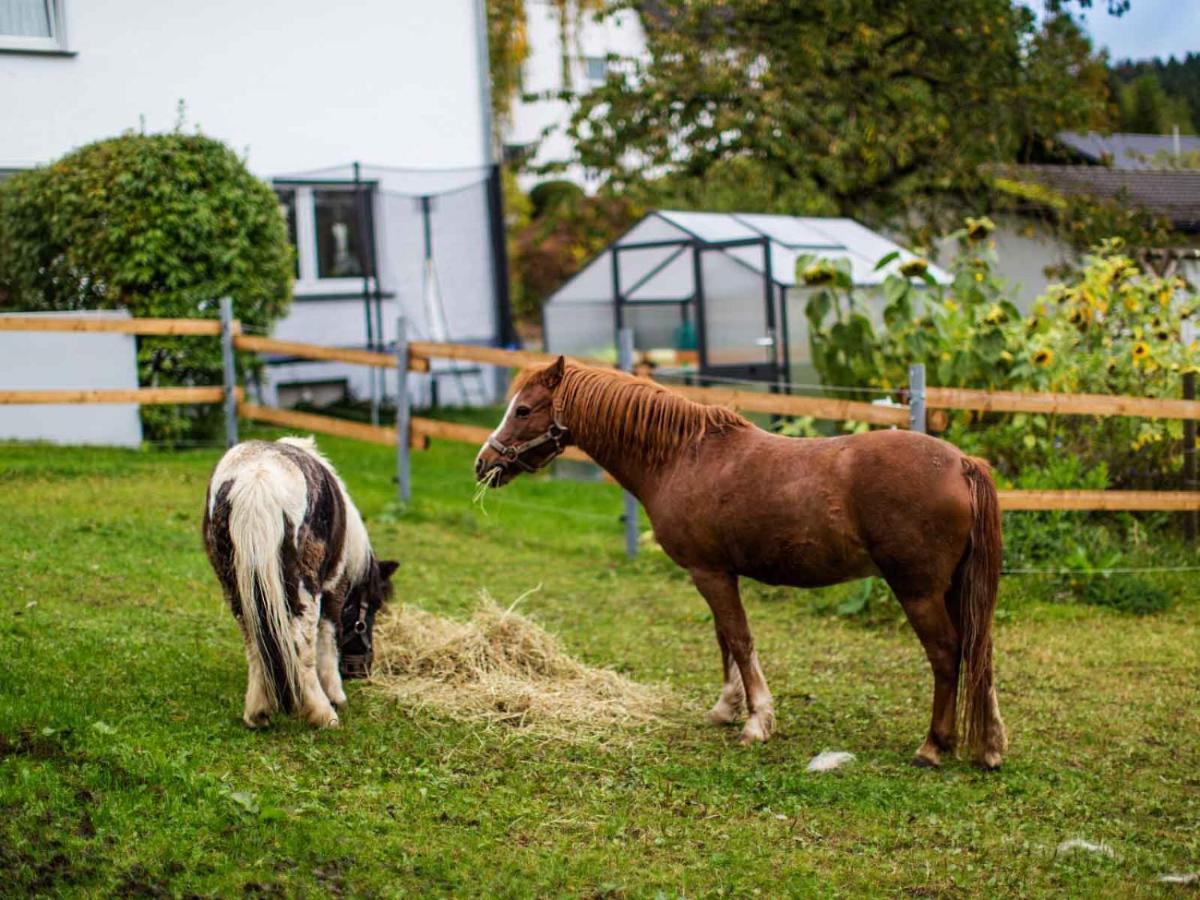 Ferienwohnung Hallmann Schmallenberg Zewnętrze zdjęcie