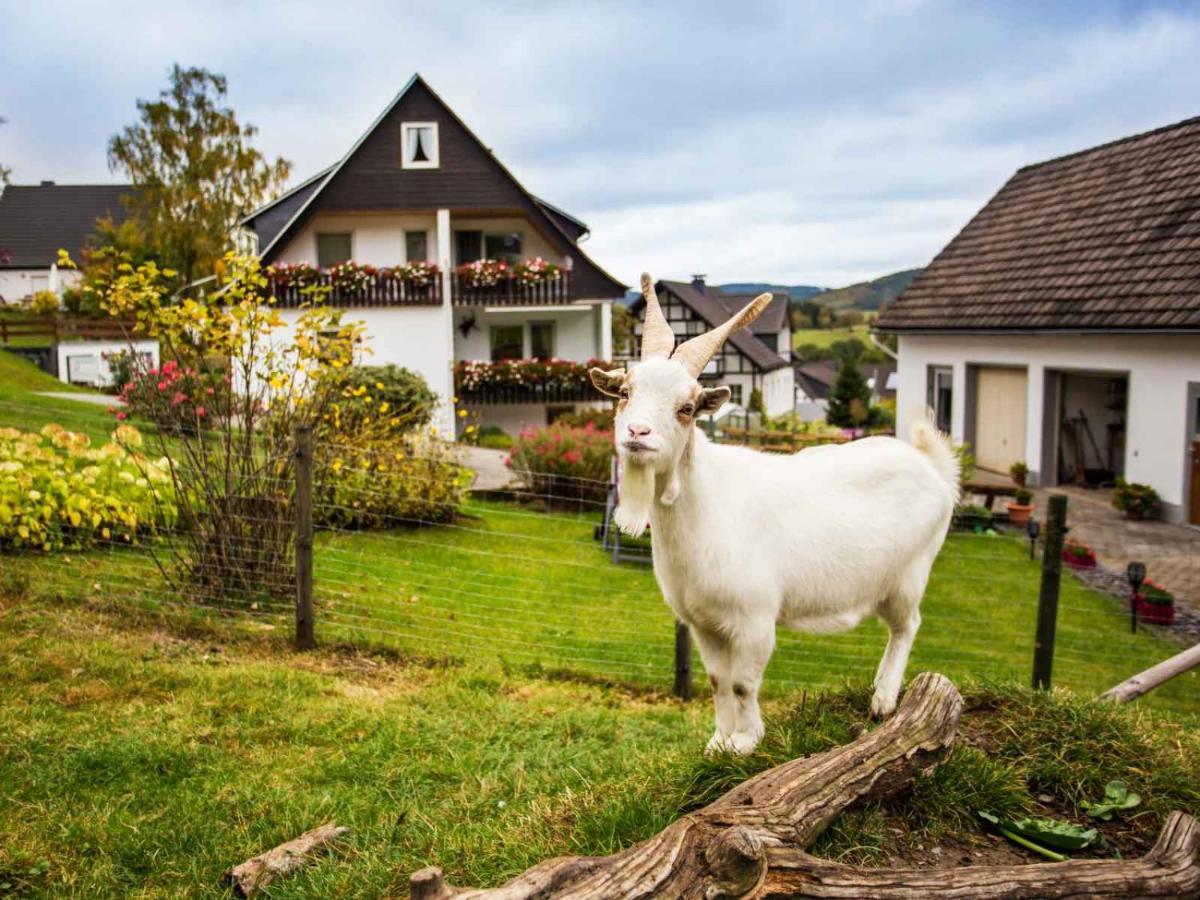 Ferienwohnung Hallmann Schmallenberg Zewnętrze zdjęcie