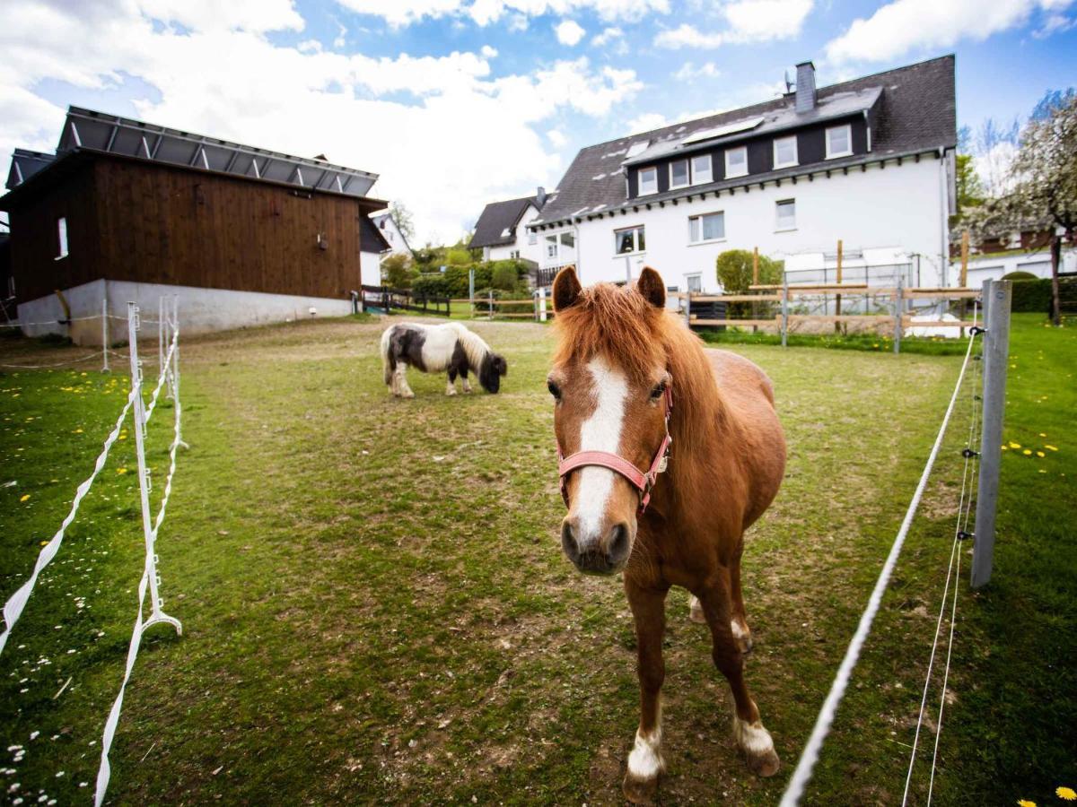 Ferienwohnung Hallmann Schmallenberg Zewnętrze zdjęcie