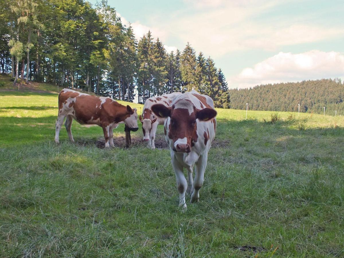 Ferienwohnung Hallmann Schmallenberg Zewnętrze zdjęcie