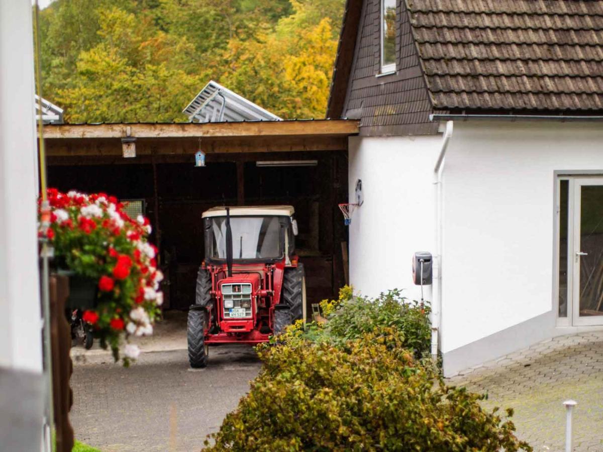 Ferienwohnung Hallmann Schmallenberg Zewnętrze zdjęcie