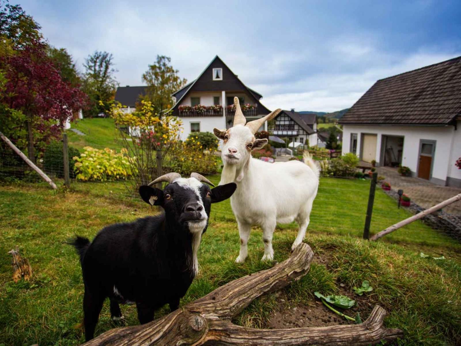 Kornkammer Schmallenberg Zewnętrze zdjęcie